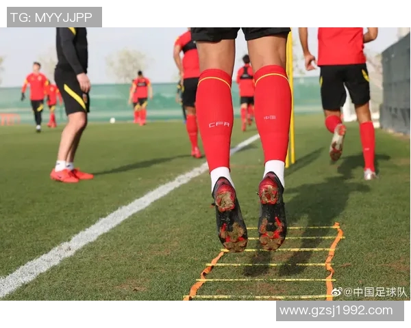 球星们独特的足球袜设计与背后的时尚潮流趋势分析